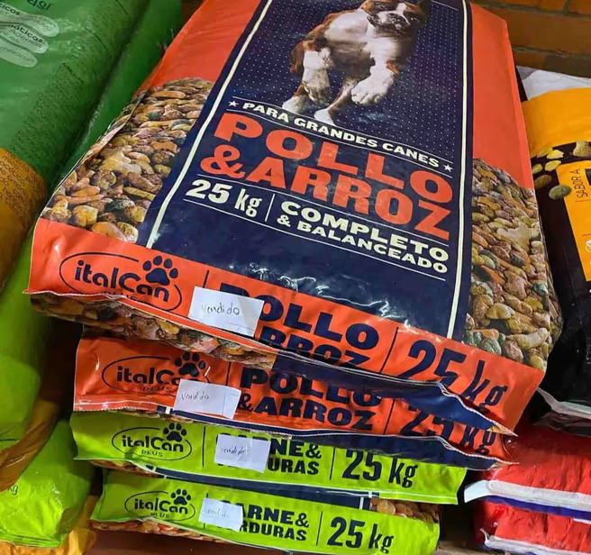 Perritos rescatados esperando ayuda